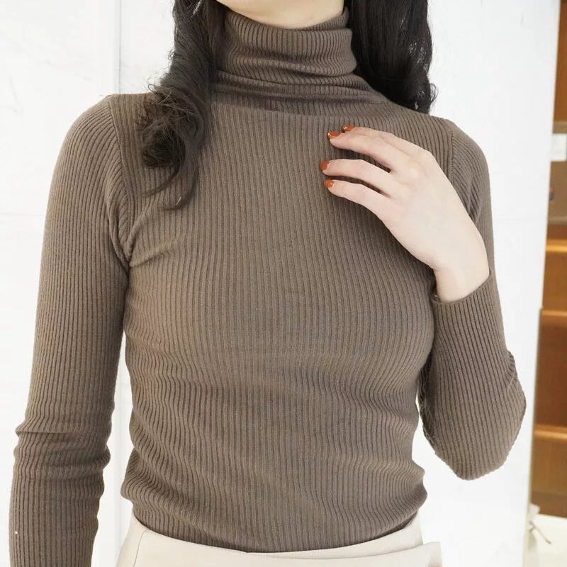 High neck ribbed knit fitted versatile top