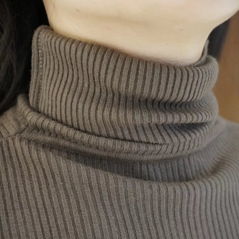 High neck ribbed knit fitted versatile top