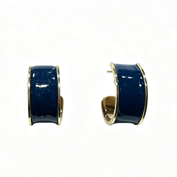 Vintage Navy Blue Earrings
