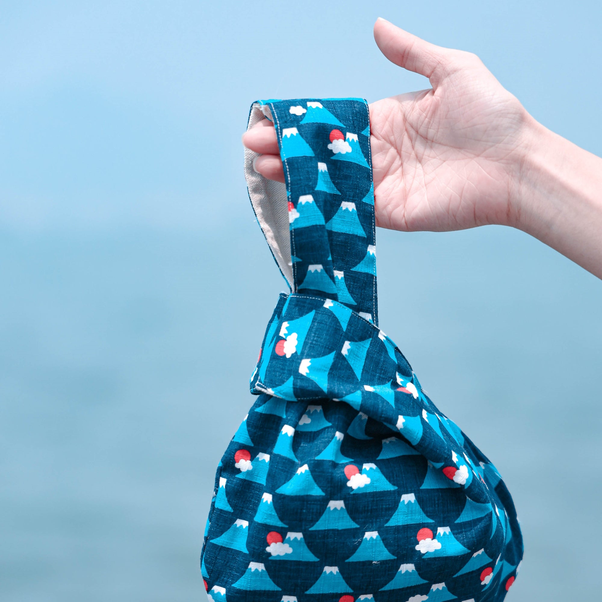 Fuji Handled Moonshell Bag